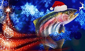 christmas trout edit